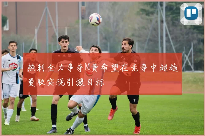 热刺全力争夺M费希望在竞争中超越曼联实现引援目标